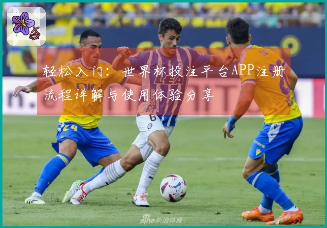 轻松入门:世界杯投注平台APP注册流程详解与使用体验分享