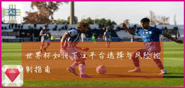 世界杯如何下注平台选择与风险控制指南