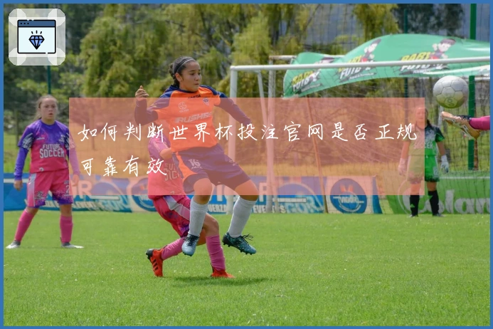 如何判断世界杯投注官网是否正规可靠有效
