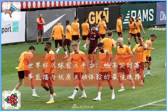 世界杯买球官方平台：畅享实时赛事直播与优质互动体验的最佳选择