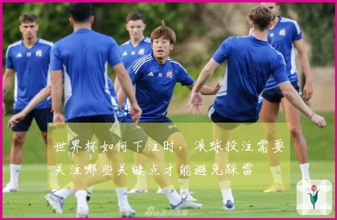 世界杯如何下注时，滚球投注需要关注哪些关键点才能避免踩雷