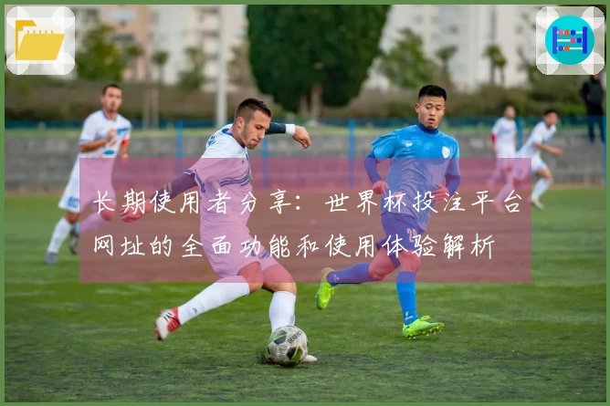 长期使用者分享：世界杯投注平台网址的全面功能和使用体验解析