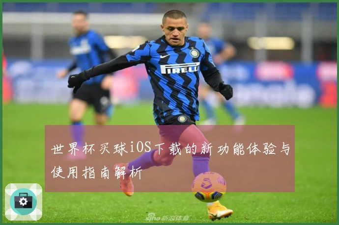 世界杯买球iOS下载的新功能体验与使用指南解析