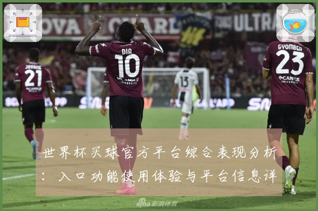世界杯买球官方平台综合表现分析：入口功能使用体验与平台信息详尽指南