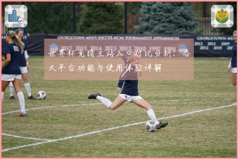 世界杯竞猜主站入口对比分析：各大平台功能与使用体验详解