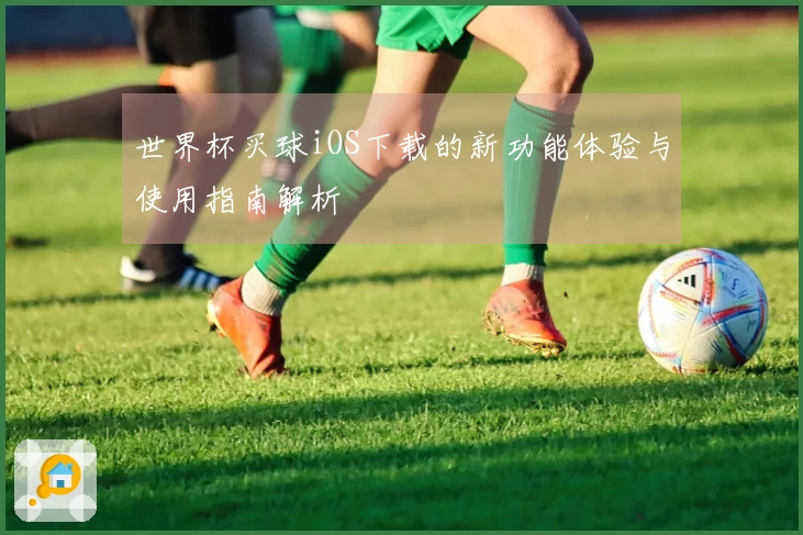 世界杯买球iOS下载的新功能体验与使用指南解析