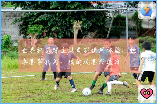 世界杯买球主站真实使用体验：畅享赛事精彩，我的观赛新选择