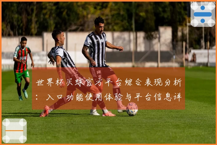 世界杯买球官方平台综合表现分析：入口功能使用体验与平台信息详尽指南