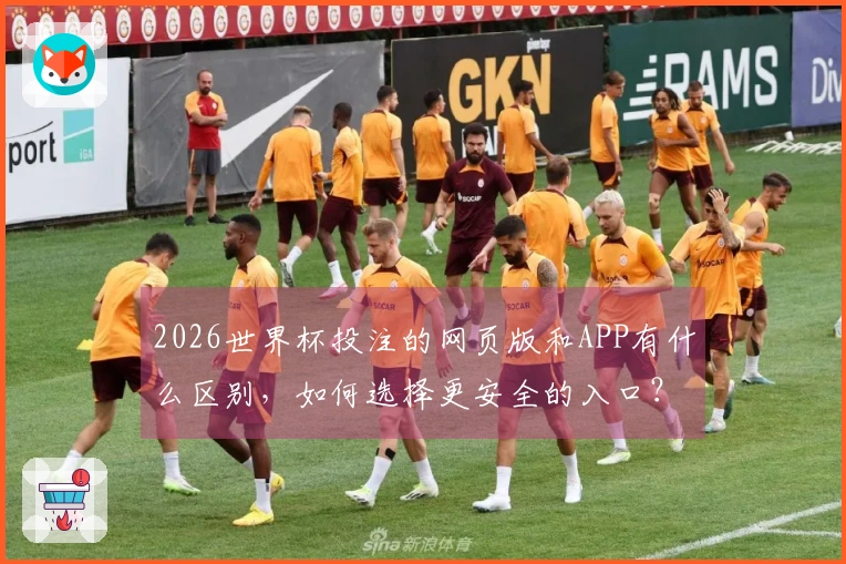 2026世界杯投注的网页版和APP有什么区别，如何选择更安全的入口？